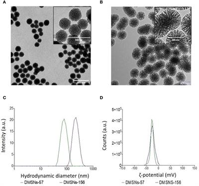 In Vivo Sustained Release of Peptide Vaccine Mediated by Dendritic Mesoporous Silica Nanocarriers